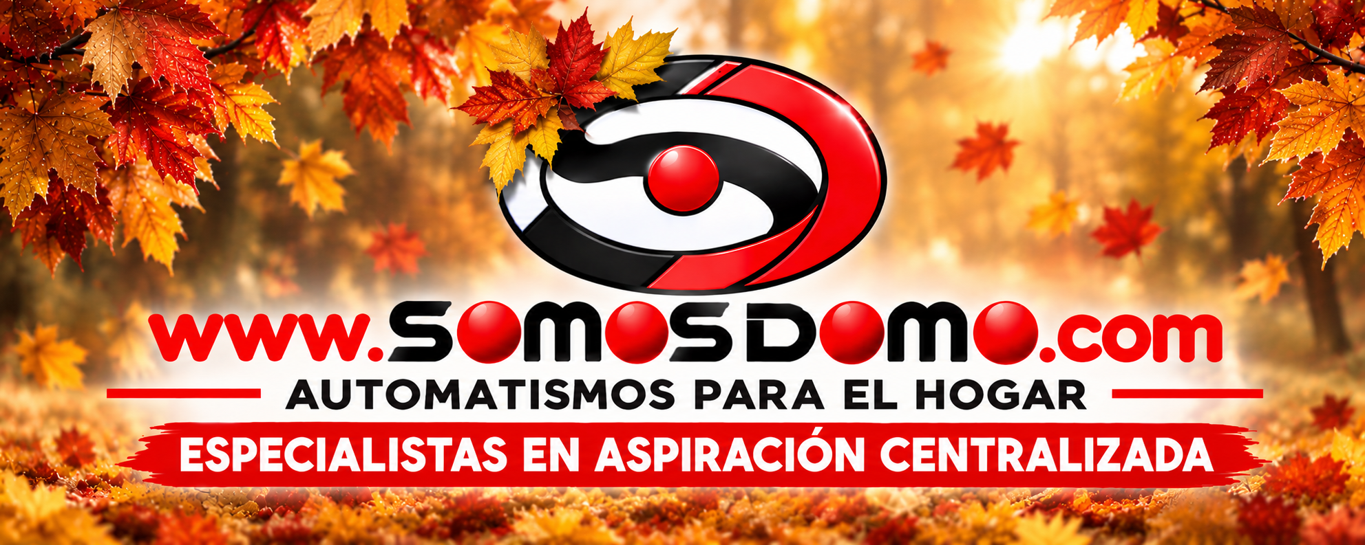 SomosDomo, C.B.
